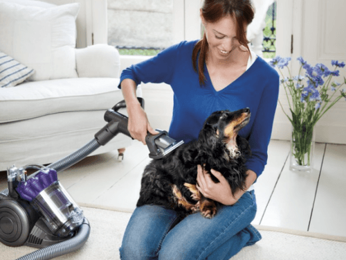 Пылесосы Dyson для владельцев домашних животных: как избавиться от шерсти